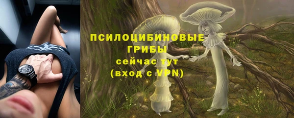 ешки Магас