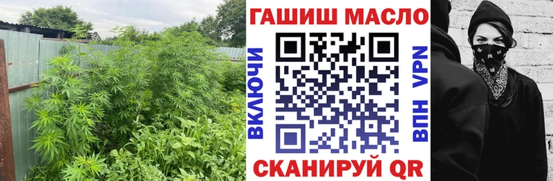 Дистиллят ТГК THC oil  Купить где  Алексеевка 